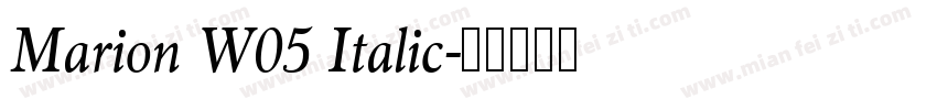 Marion W05 Italic字体转换